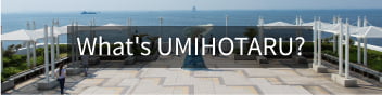 What's UMIHOTARU?